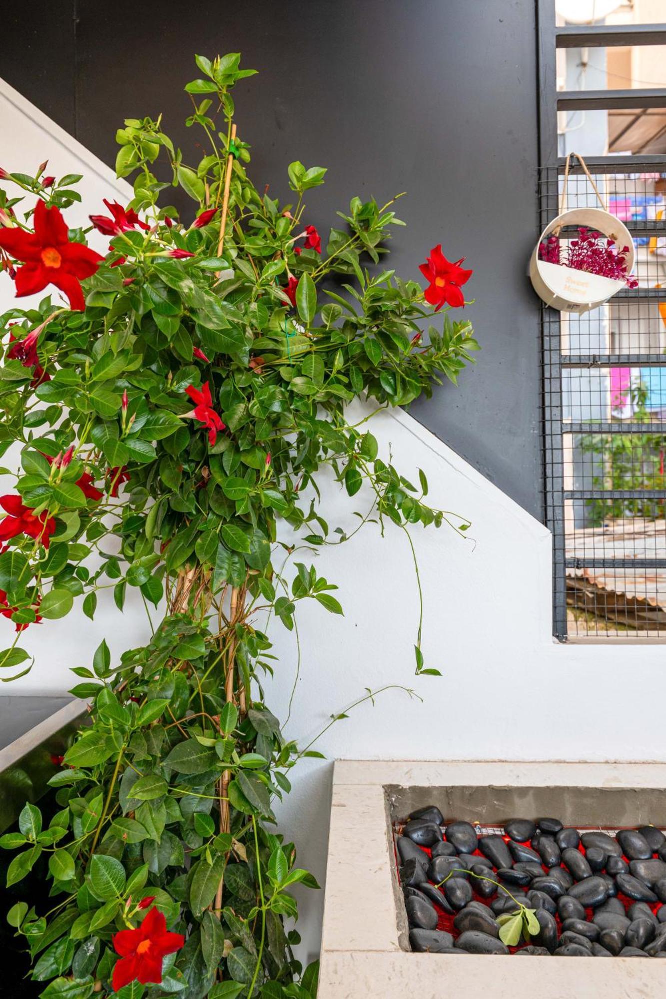 Mato Luxury Apartments Sarandë Eksteriør billede